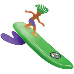 Surfer Dudes Doolin